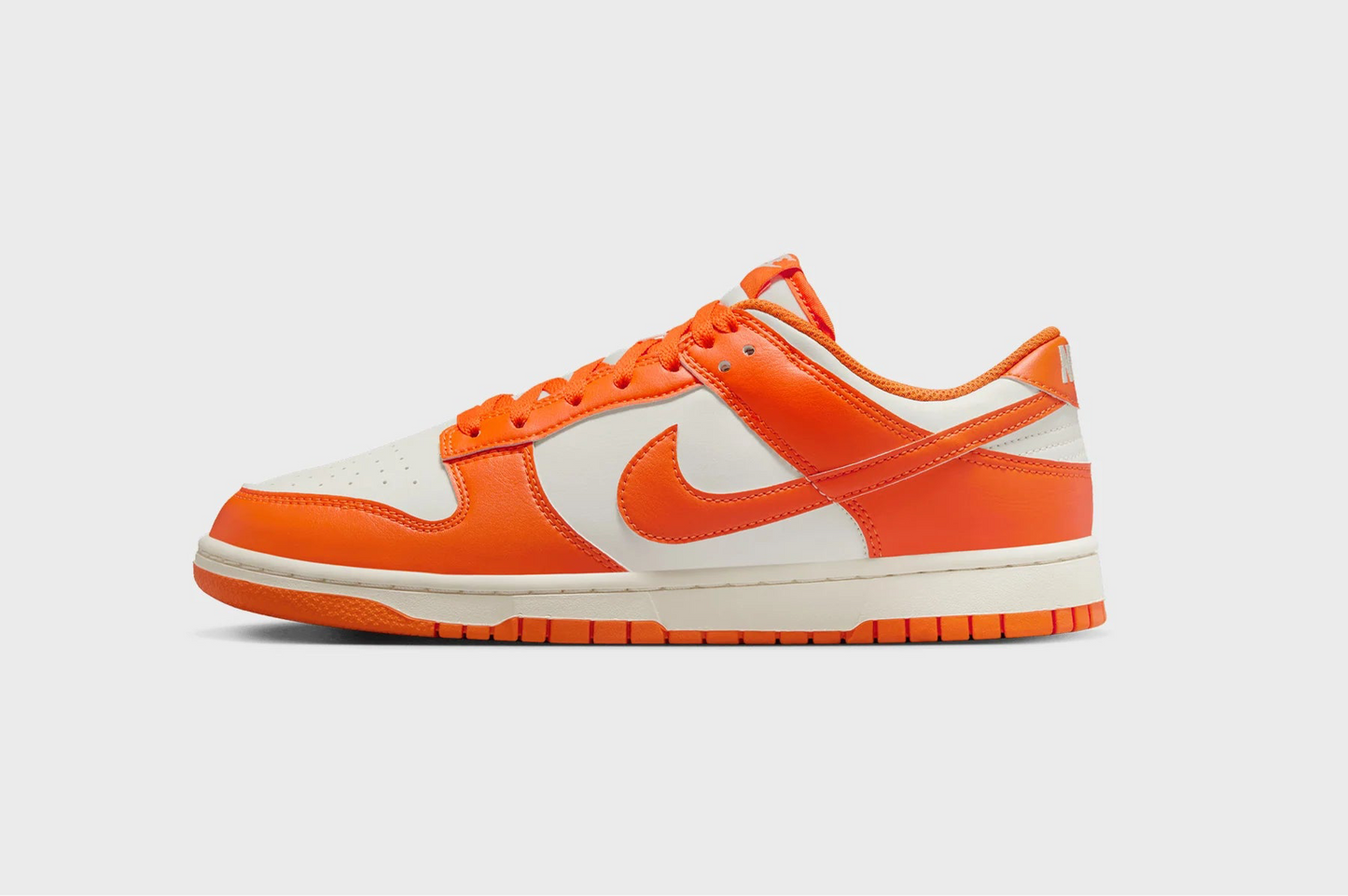 Nike Dunk Low Shoes Women