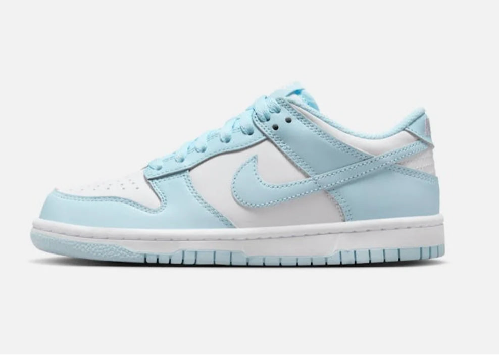 Nike Dunk Low Shoes Women